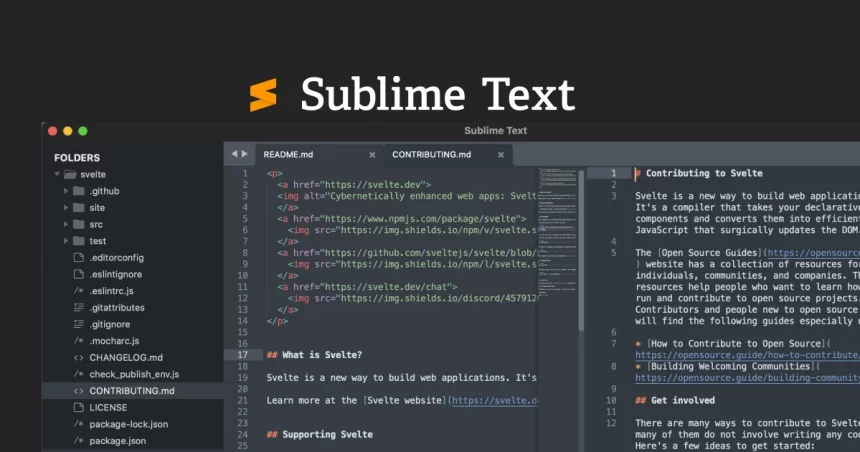 Sublime Text Alternatives