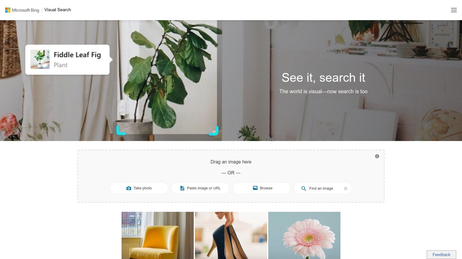 Microsoft Bing Visual Search